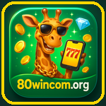 80win com